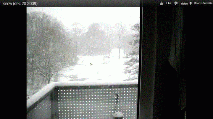 Youtube snow (dec 20 2009)