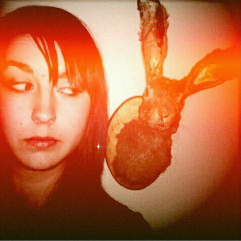 bunny