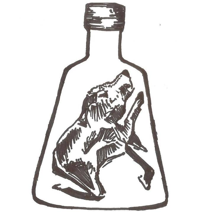 Perro Mojado