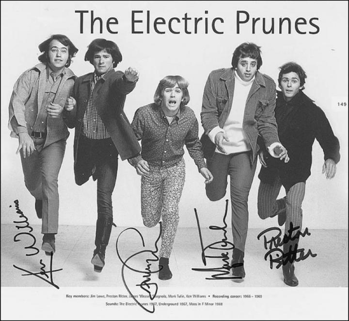 The Electric Prunes