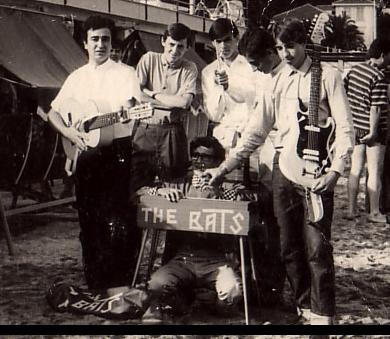 The Bats