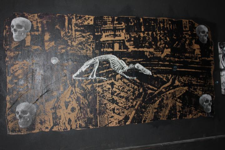 exhibition wall 2
