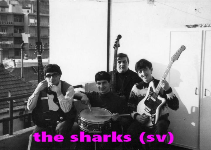 The Sharks