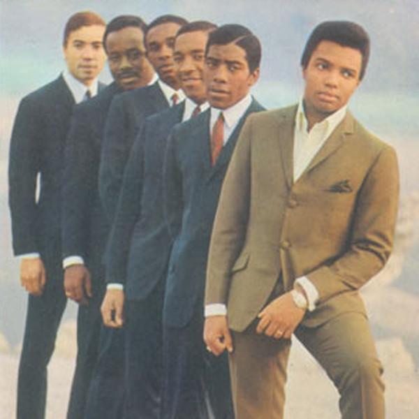 Wess And The Airedales