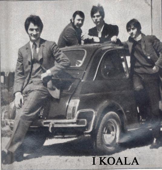 I Koala