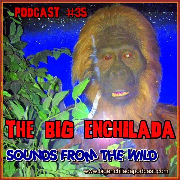 BIG ENCHILADA 35: SOUNDS FROM THE WILD