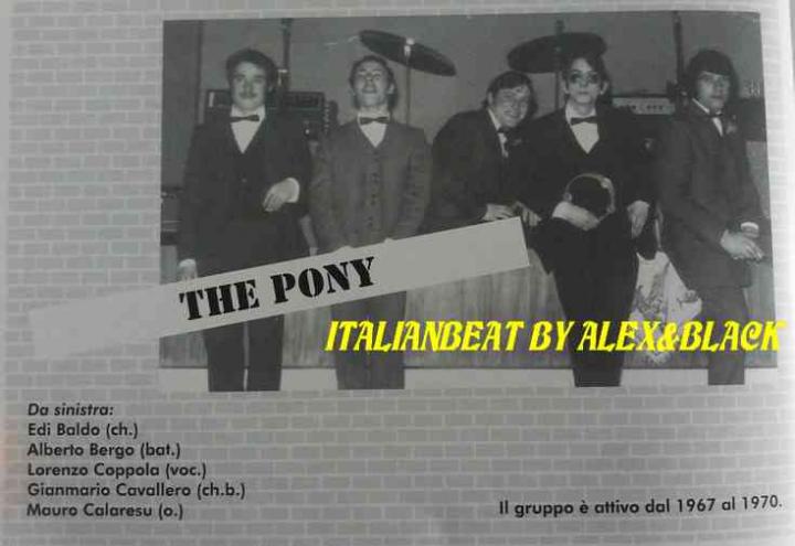 The Pony