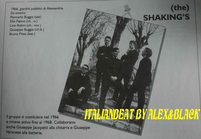 The Shaking's
