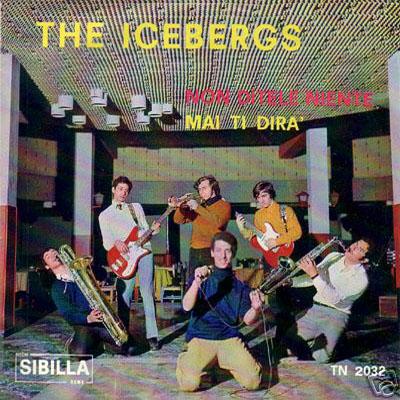 The Icebergs