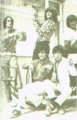 The Shardana